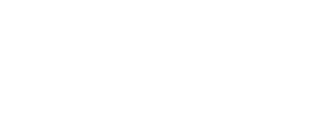 Reliable Scan LTD